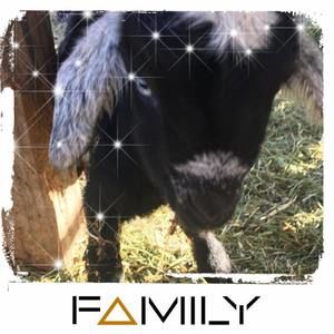 Meet your Posher, Kelli